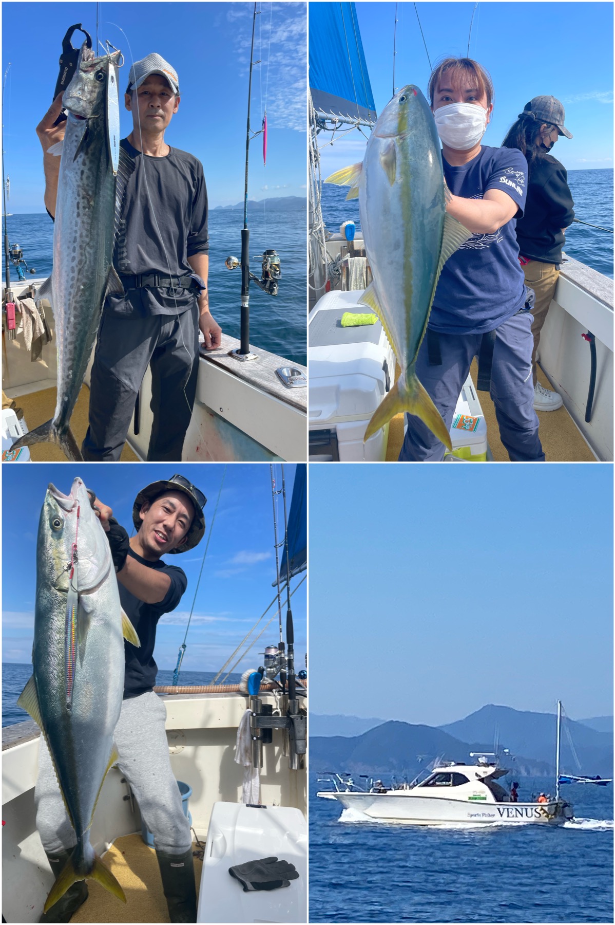 メジロ～大ハマチ好釣！ | 日本海丹後ジギング船「ヴィーナス」