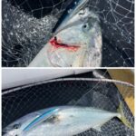 釣果