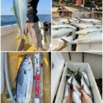 釣果