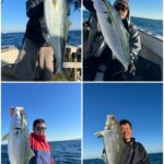 釣果