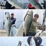 釣果