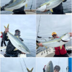 釣果