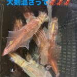 釣果