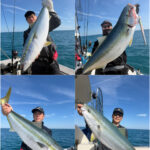 釣果