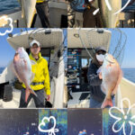 釣果