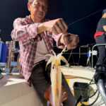 釣果