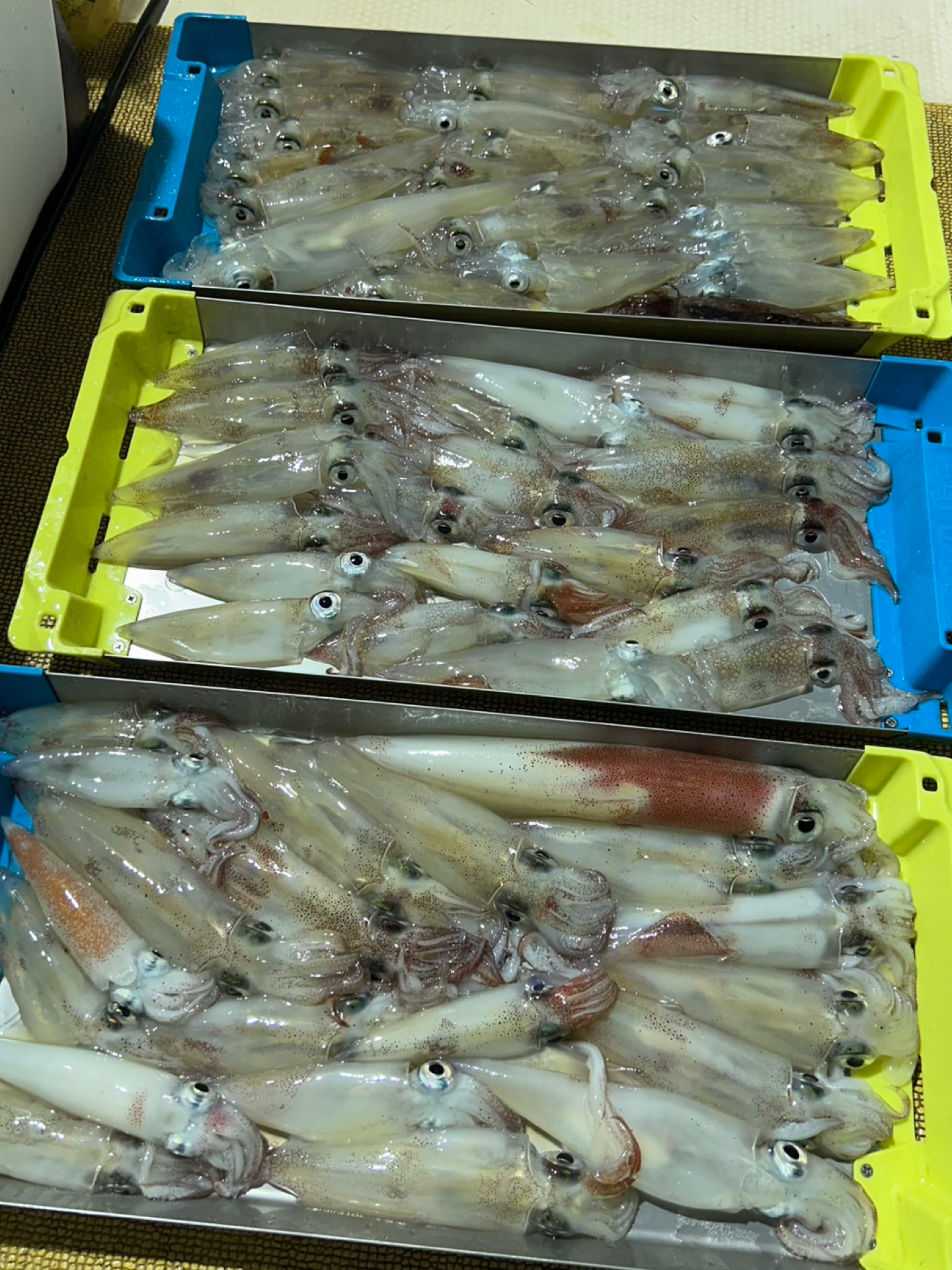 釣果