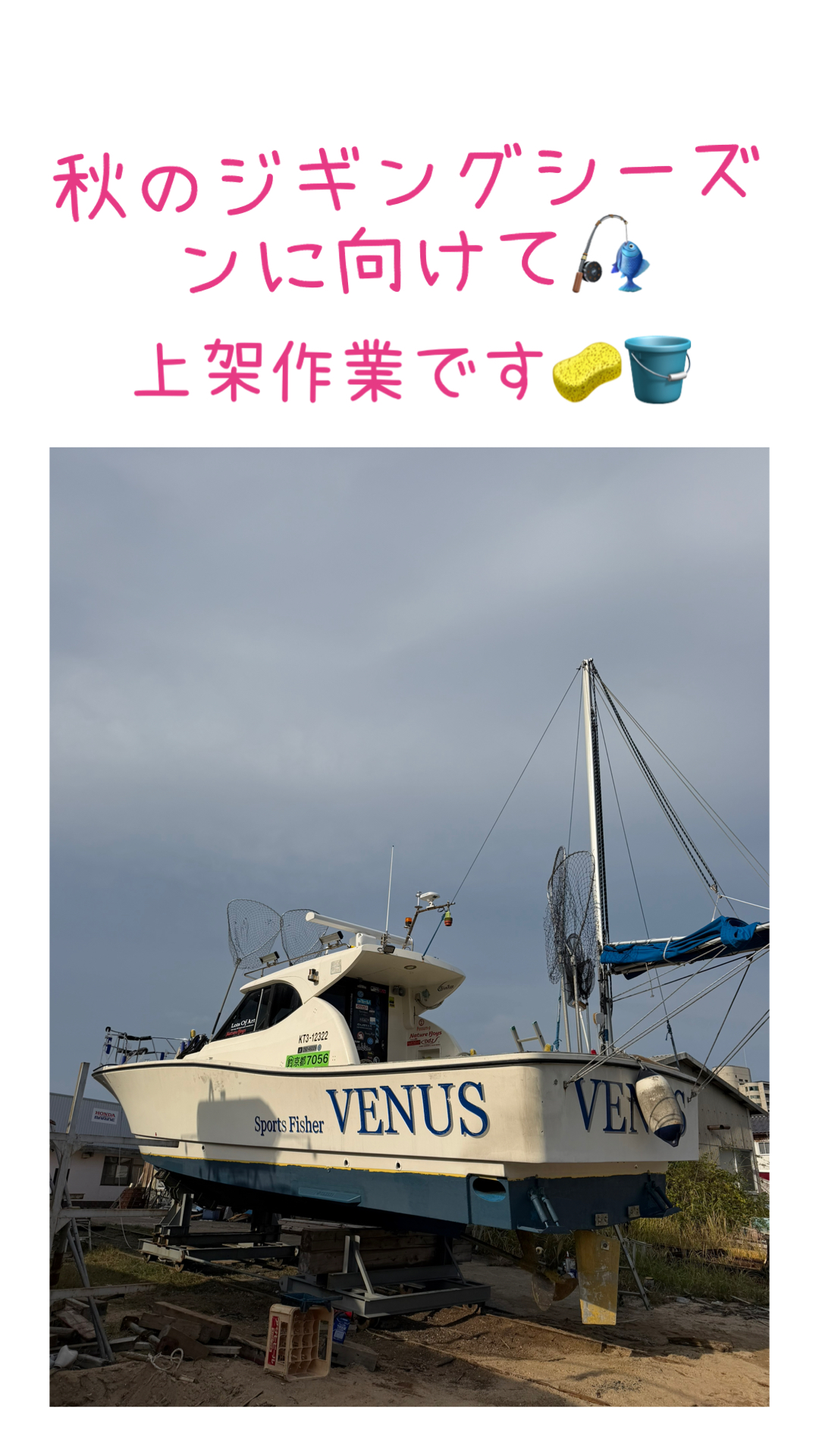 釣果
